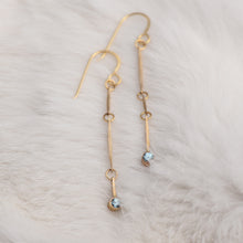 Load image into Gallery viewer, "Life's a Dance" Earrings