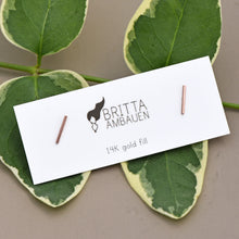 Load image into Gallery viewer, Raising the Bar Earrings