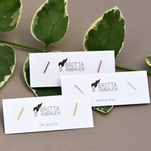 Load image into Gallery viewer, Raising the Bar Earrings