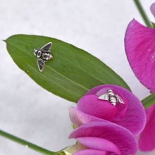 Load image into Gallery viewer, Bee Studs