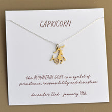 Load image into Gallery viewer, Zodiac Necklaces