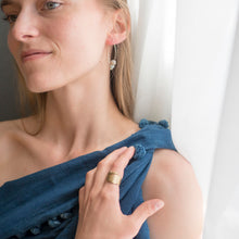 Load image into Gallery viewer, Evolution Earrings