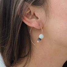 Load image into Gallery viewer, Evolution Earrings