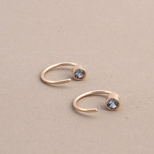 Load image into Gallery viewer, Permission to Succeed Earrings