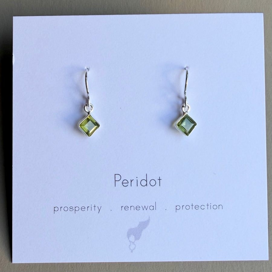 Meridian Earrings on silver