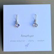 Meridian Earrings on silver