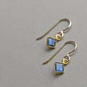 Meridian Earrings on gold