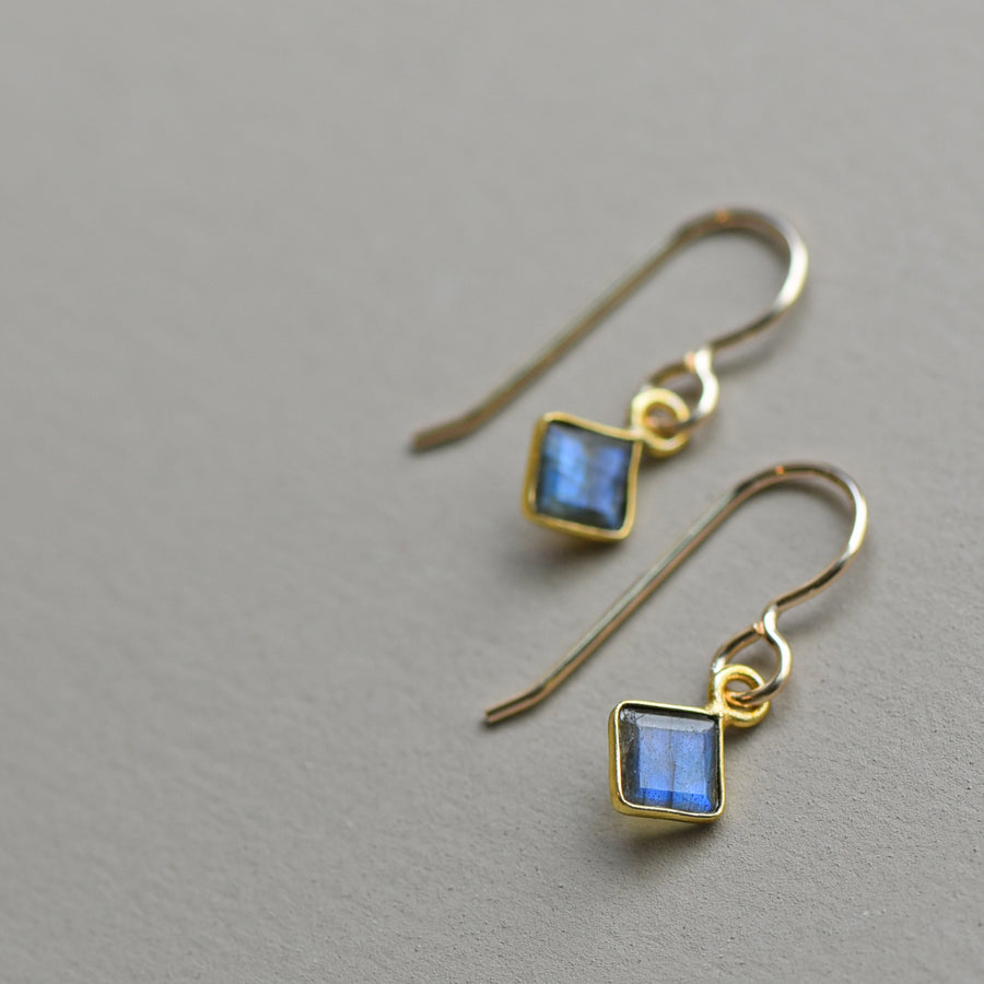 Meridian Earrings on gold
