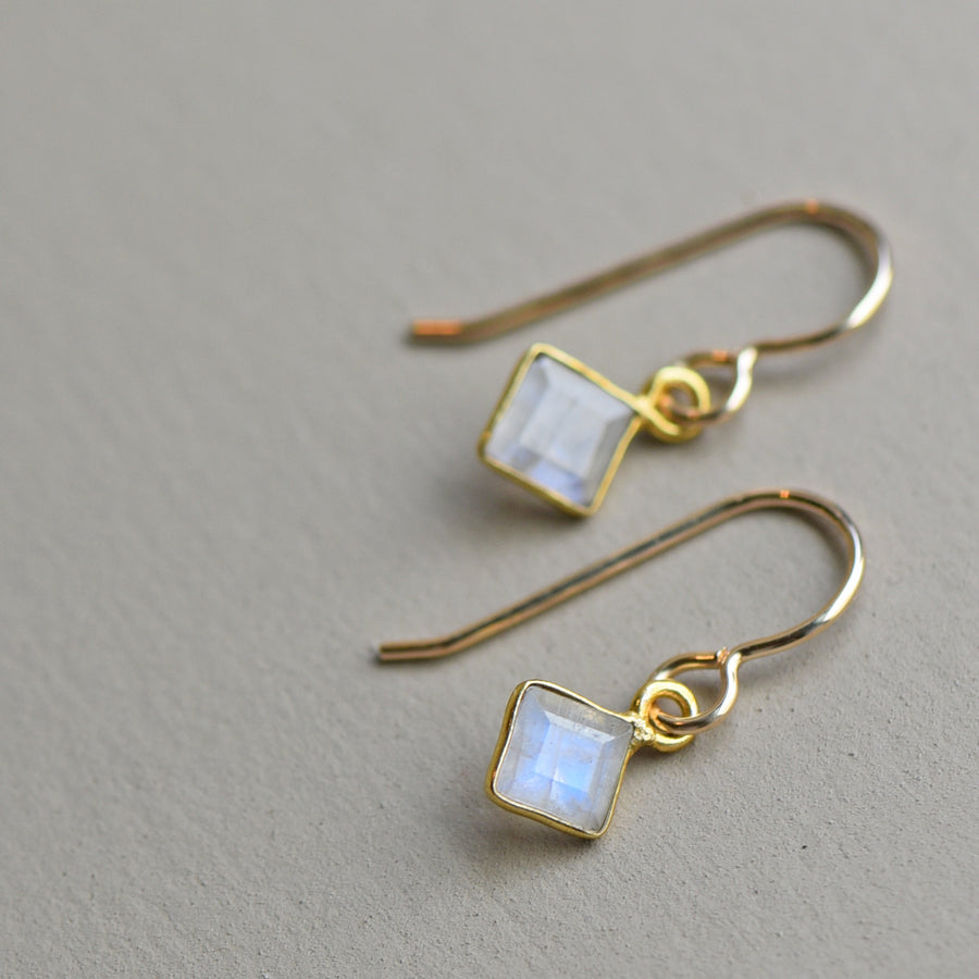 Meridian Earrings on gold