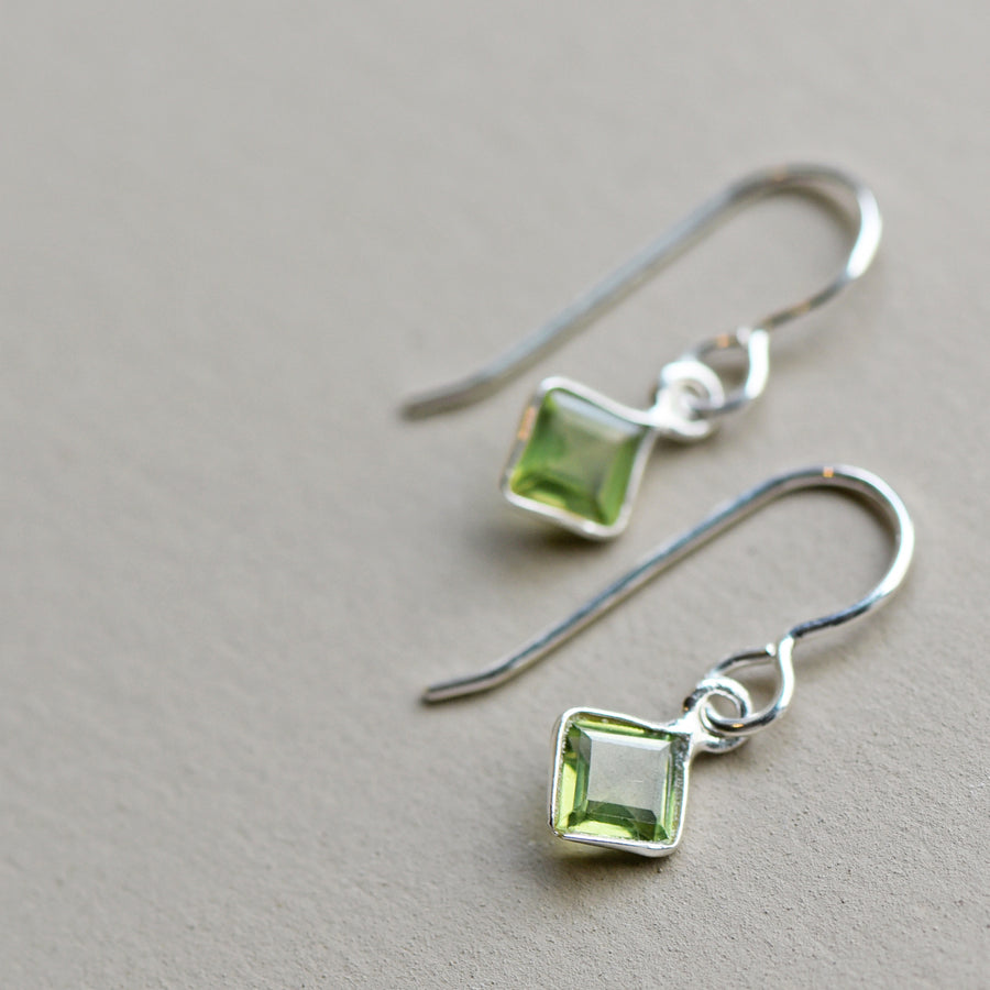 Meridian Earrings on silver