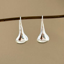 Load image into Gallery viewer, Silver Rain Earrings
