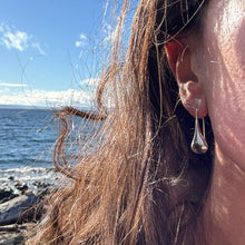 Load image into Gallery viewer, Silver Rain Earrings
