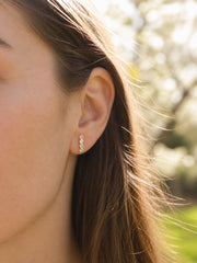 Spectrum Shift Studs