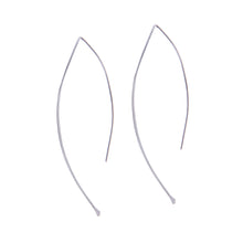 Load image into Gallery viewer, Hook Earrings
