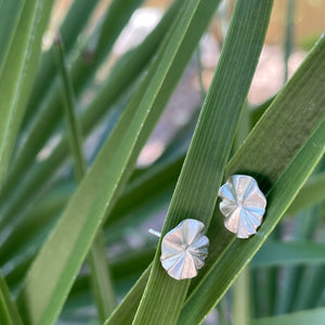 Bloom Studs