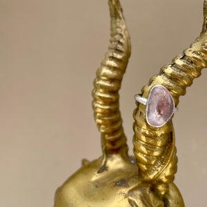 Morganite Delight Ring