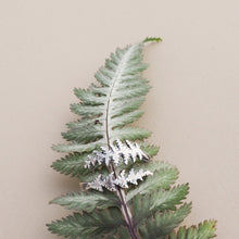 Load image into Gallery viewer, Fern Ring
