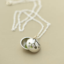 Load image into Gallery viewer, Birthstone Branch Locket
