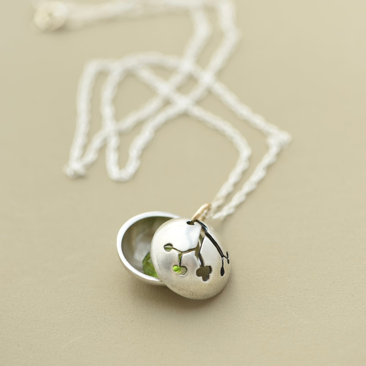 Birthstone Branch Locket