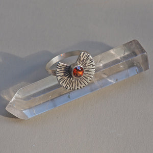 Longevity Ring