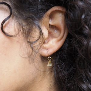 Radiance Earrings